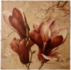 Fiori di magnolia