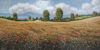 Paesaggio Collinare